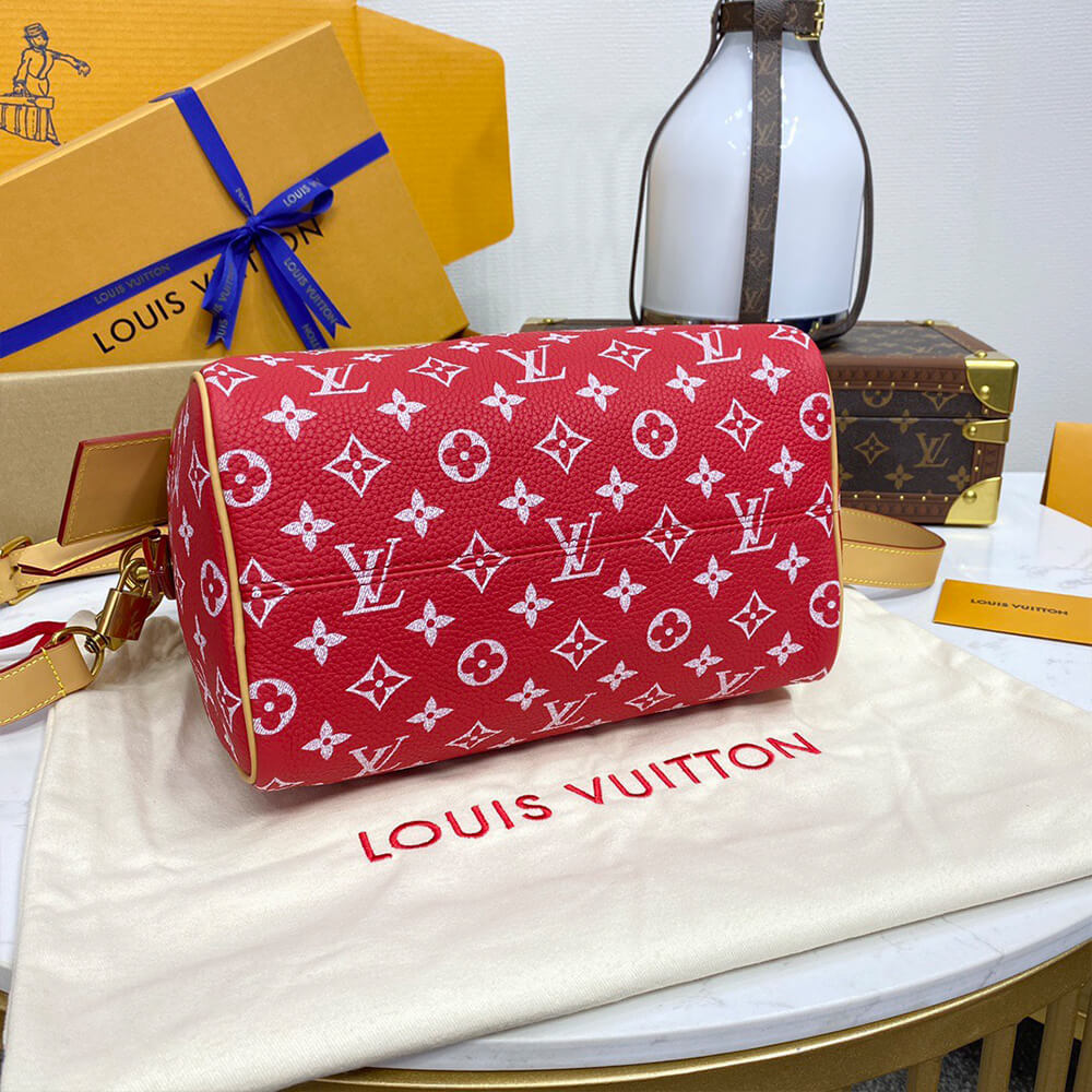 LV Speedy P9 Bandoulière 25