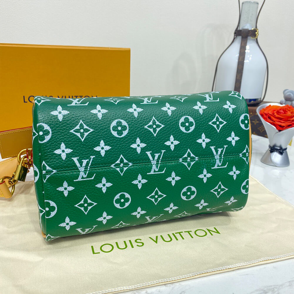 LV Speedy P9 Bandoulière 25