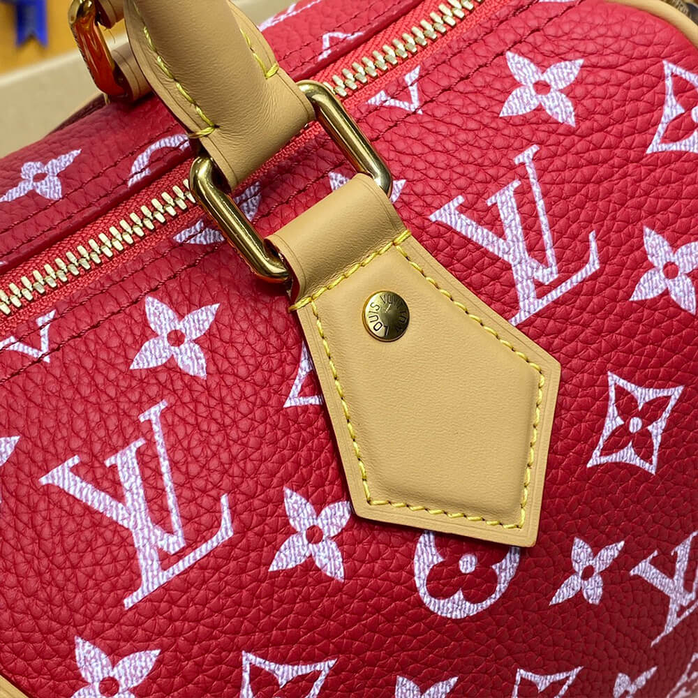 LV Speedy P9 Bandoulière 25