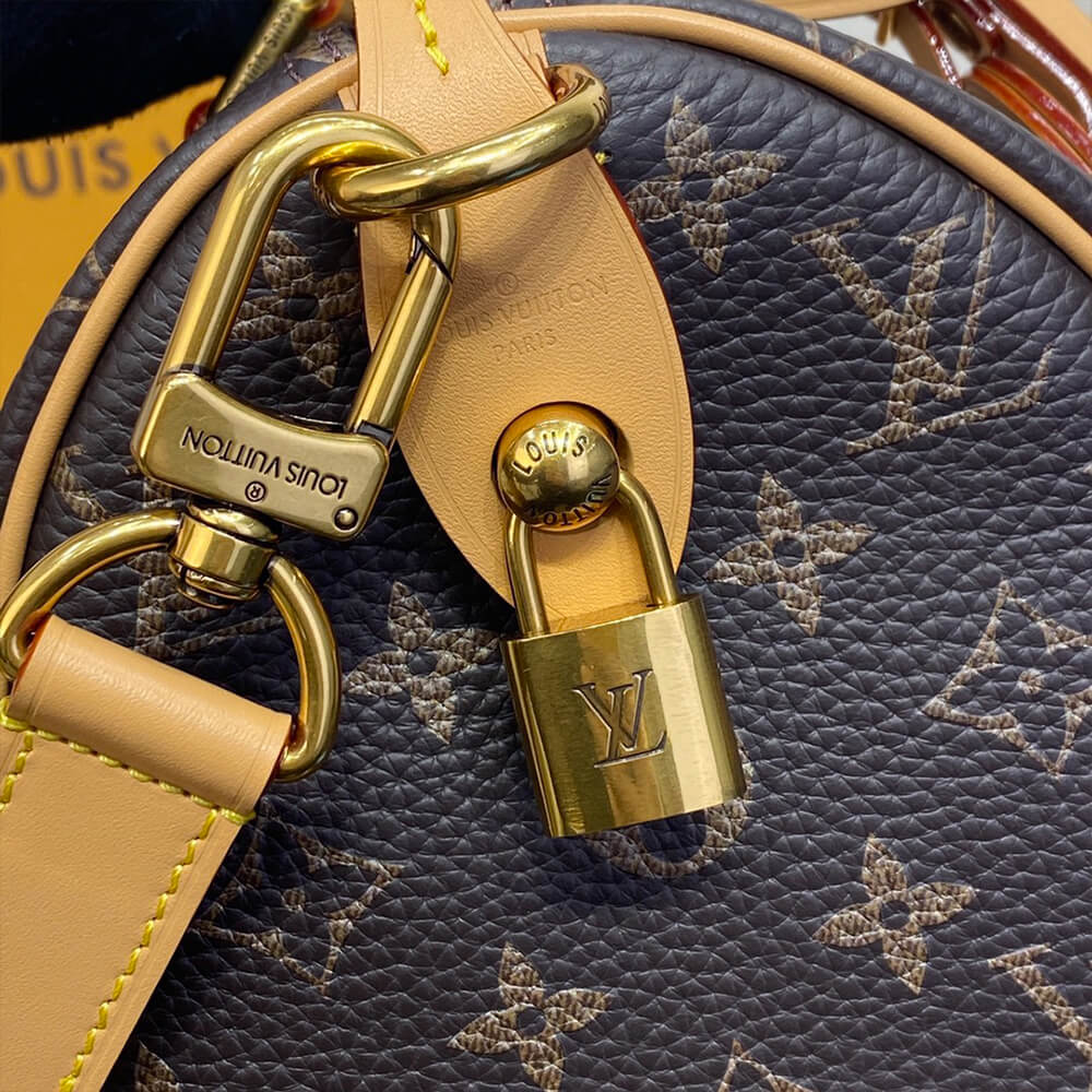 LV Speedy P9 Bandoulière 25