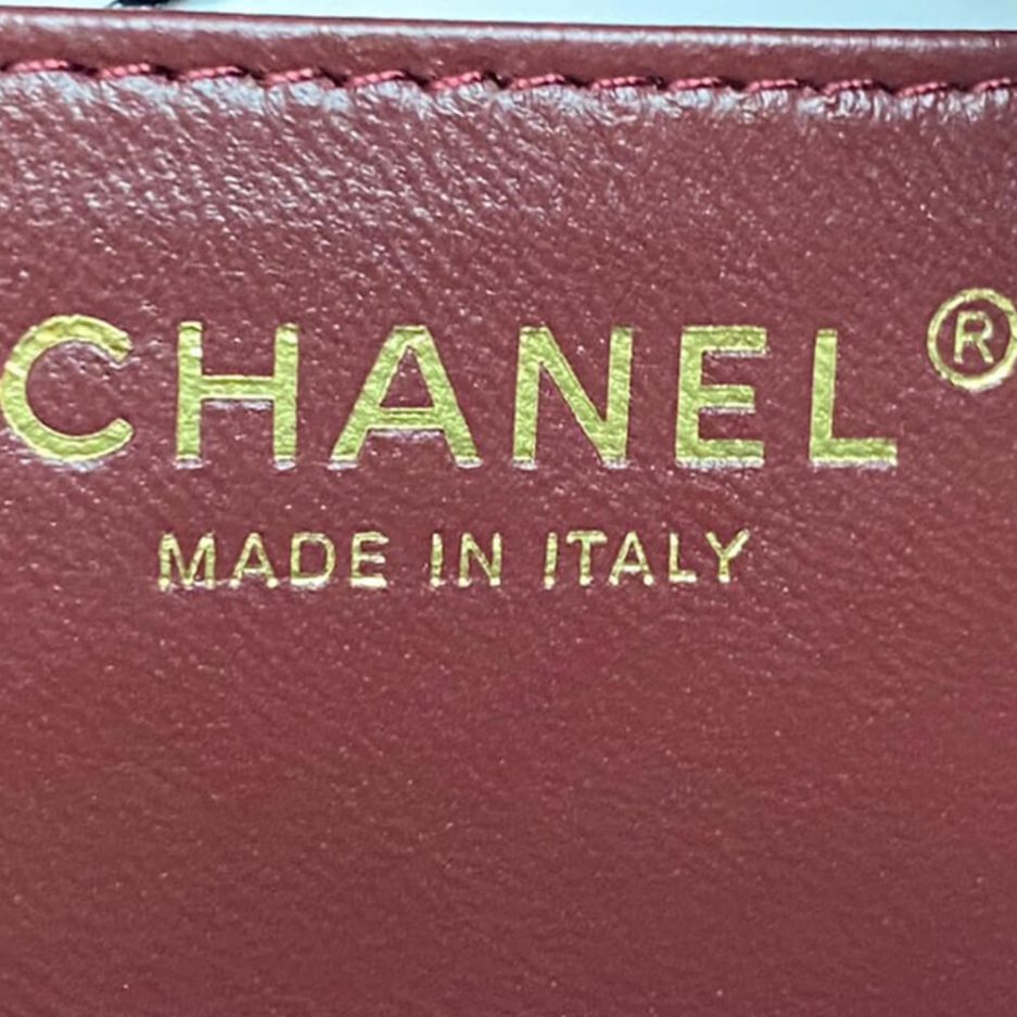 Ch*el mini camera case