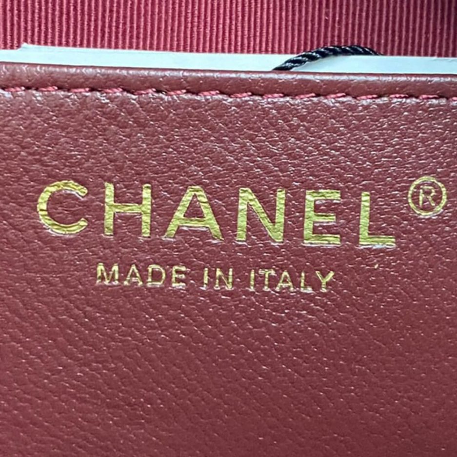 Ch*el mini camera case