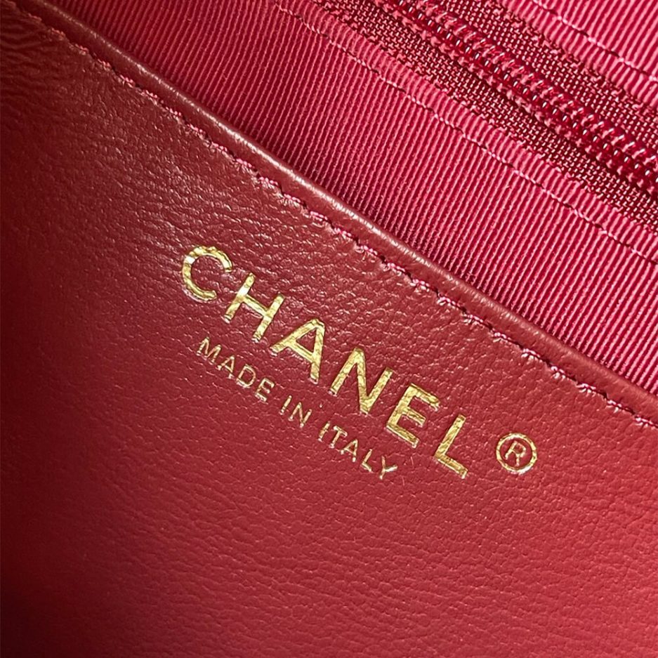 Ch*el large camera case
