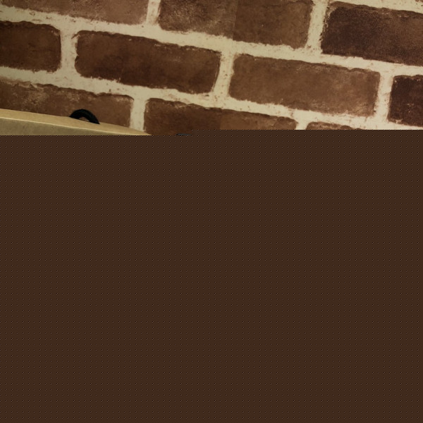 G*u*i off the grid passport case